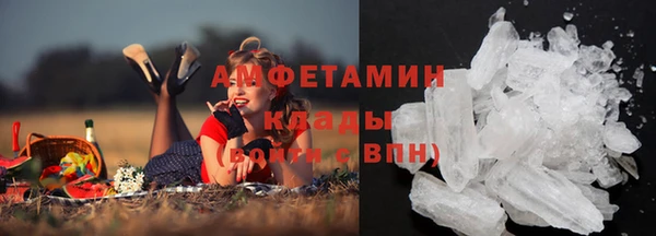 ГАЛЛЮЦИНОГЕННЫЕ ГРИБЫ Алзамай