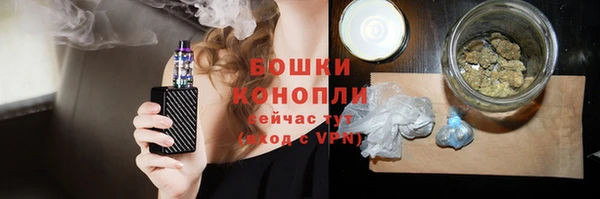 ГАЛЛЮЦИНОГЕННЫЕ ГРИБЫ Алзамай