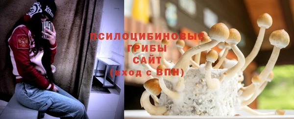 ГАЛЛЮЦИНОГЕННЫЕ ГРИБЫ Алзамай