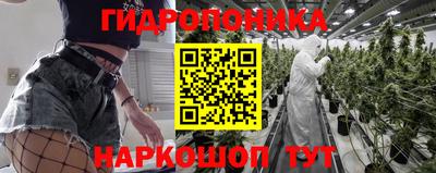 jwh Аргун
