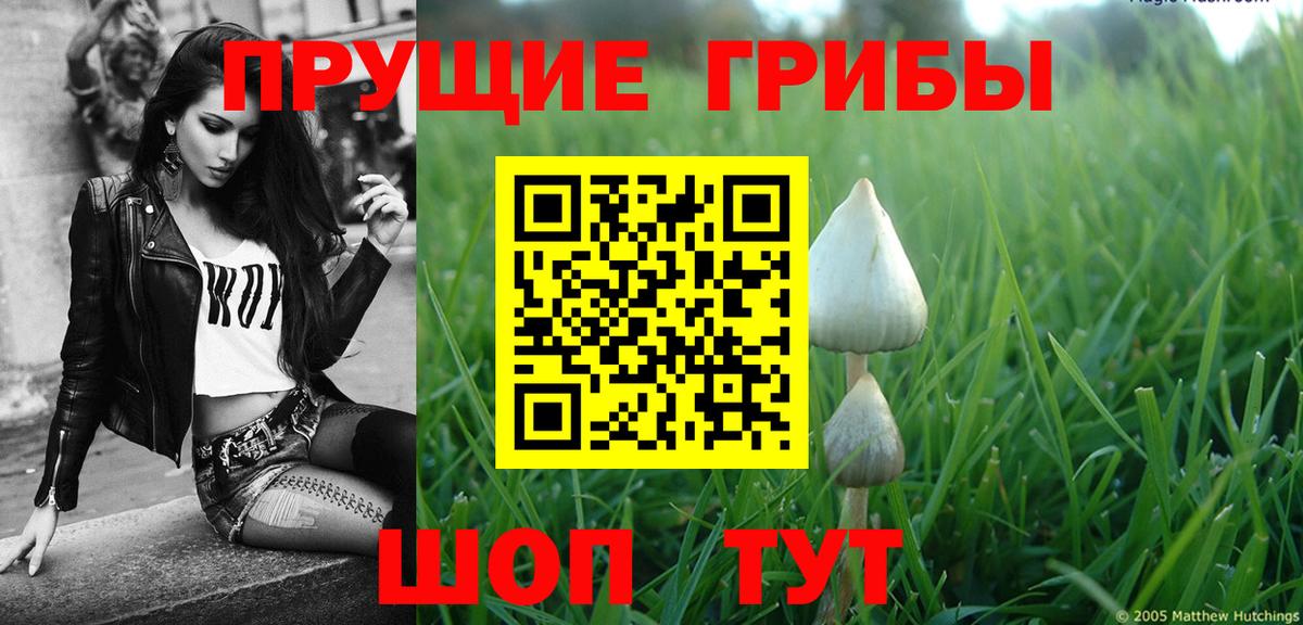 Владивосток  Галлюциногенные грибы MAGIC MUSHROOMS  Галлюциногенные грибы ЛСД  Вход с VPN 