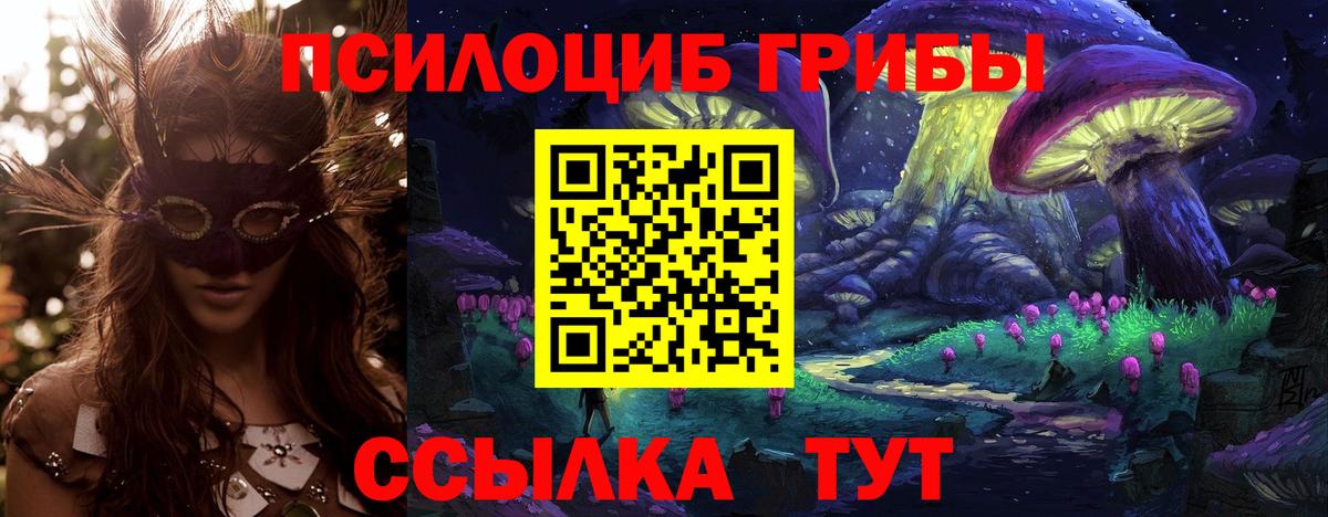Псилоцибиновые грибы Cubensis Владивосток